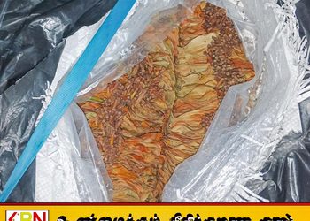 கடற்படை சோதனையில் சட்டவிரோத பீடி இலைகள் மீட்பு