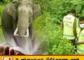 மட்டு கரடியனாறு வயல் பகுதியில் யானை தாக்கியதில் 61 வயது விவசாயி உயிரிழப்பு
