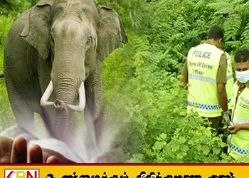 மட்டு கரடியனாறு வயல் பகுதியில் யானை தாக்கியதில் 61 வயது விவசாயி உயிரிழப்பு