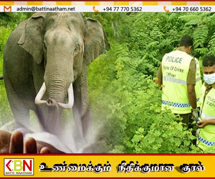 மட்டு கரடியனாறு வயல் பகுதியில் யானை தாக்கியதில் 61 வயது விவசாயி உயிரிழப்பு
