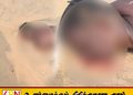 மட்டு நாவலடி கடற்கரையில் கரை ஒதுங்கிய நிலையில் ஆண் ஒருவரின் சடலம் மீட்பு