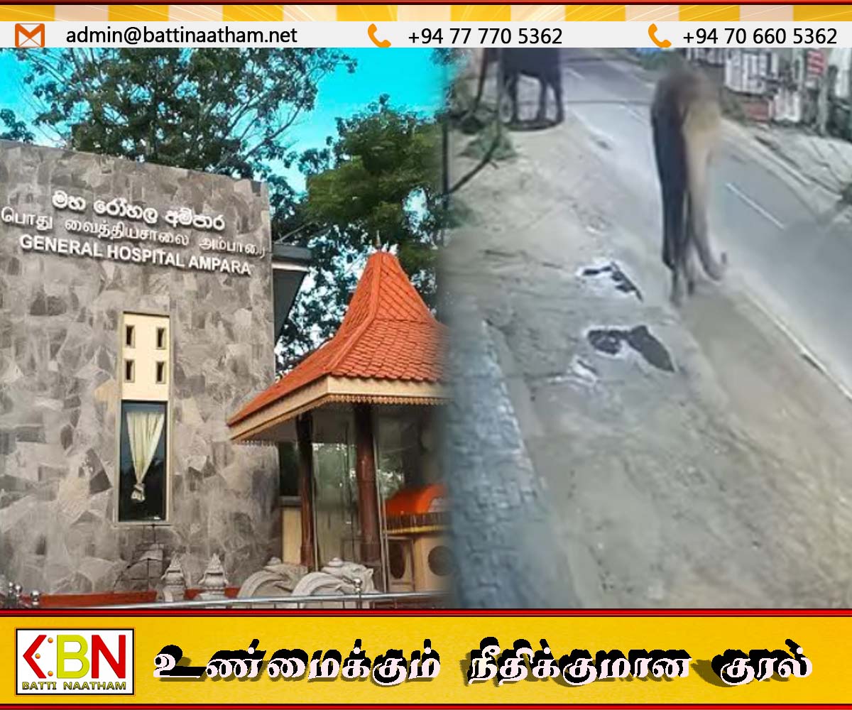 இறக்காமத்தில் காட்டு யானை தாக்கி ஒருவர் உயிரிழப்பு!