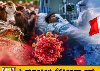 விலங்குகளுக்கு மட்டும் பரவக்கூடிய ஷமொண்டா வைரஸ் மனிதனிடம் கண்டுபிடிப்பு; பிரான்ஸில் ஒருவர் உயிரிழப்பு!