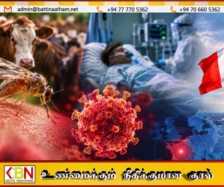 விலங்குகளுக்கு மட்டும் பரவக்கூடிய ஷமொண்டா வைரஸ் மனிதனிடம் கண்டுபிடிப்பு; பிரான்ஸில் ஒருவர் உயிரிழப்பு!