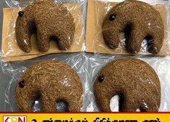 இலங்கையில் தயாரிக்கப்பட்ட சாணக் காந்தம்; அவுஸ்திரேலியாவுக்குள் நுழைய அனுமதி மறுப்பு!