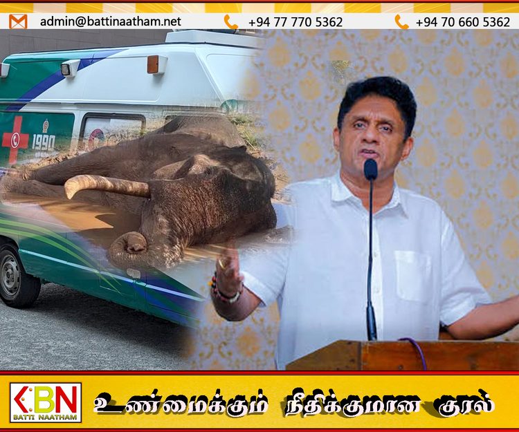 யானைகளுக்கும் அம்புலன்ஸ் வசதி ஏற்படுத்தப்பட வேண்டும்; சஜித்