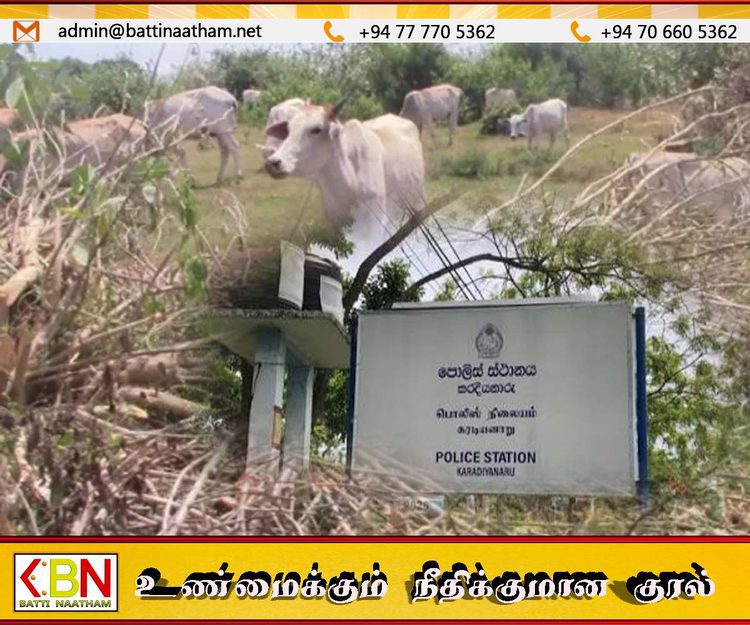 மயிலத்தமடு–மாதவனையில் கால்நடைப் பண்ணையாளர் மீது தாக்குதல்!; வைத்தியசாலையில் அனுமதி!