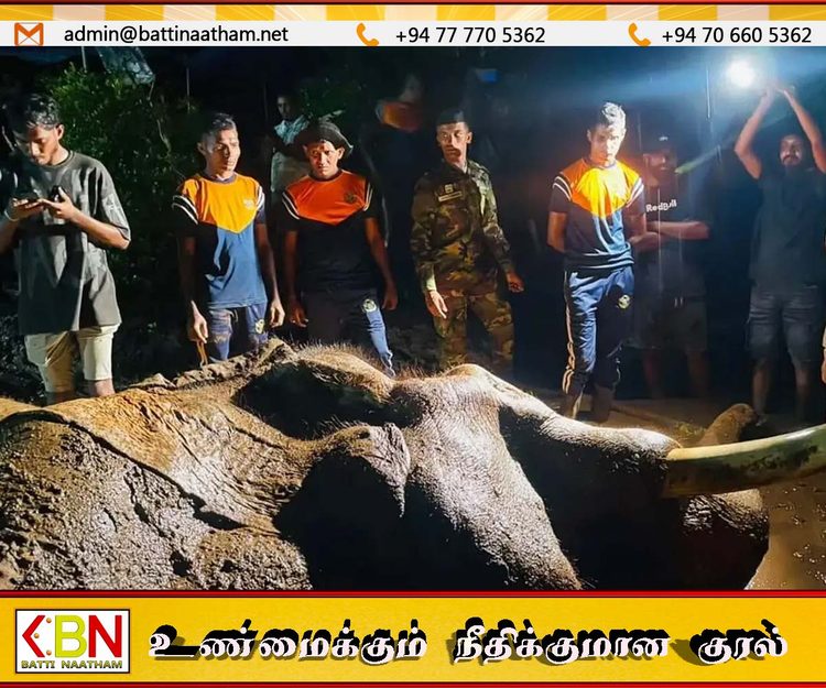 இலங்கையின் மிகவும் உயரமான யானை உயிரிழப்பு