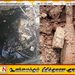 குளக்கரையில் மோட்டார் குண்டு; கிணற்றுக்குள் துப்பாக்கிப் பாகங்கள்!; திருக்கோவில் பொலிஸார் விசாரணை