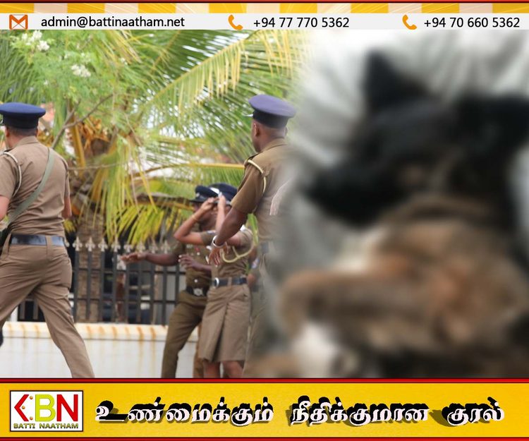 செல்லப்பிராணிகள் பராமரிப்பு நிலையத்தில் நாய் கொ. லை; இருவர் பிணையில் விடுதலை!