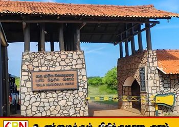 யால தேசிய வனத்தின் 1 ஆம் மற்றும் 2 ஆம் வலயங்களை மீண்டும் திறக்க தீர்மானம்