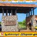 யால தேசிய வனத்தின் 1 ஆம் மற்றும் 2 ஆம் வலயங்களை மீண்டும் திறக்க தீர்மானம்