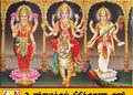நவராத்திரி விரதம் இன்று ஆரம்பம்; வீடுகளிலும் ஆலயங்களிலும் சிறப்பு வழிபாடுகள்
